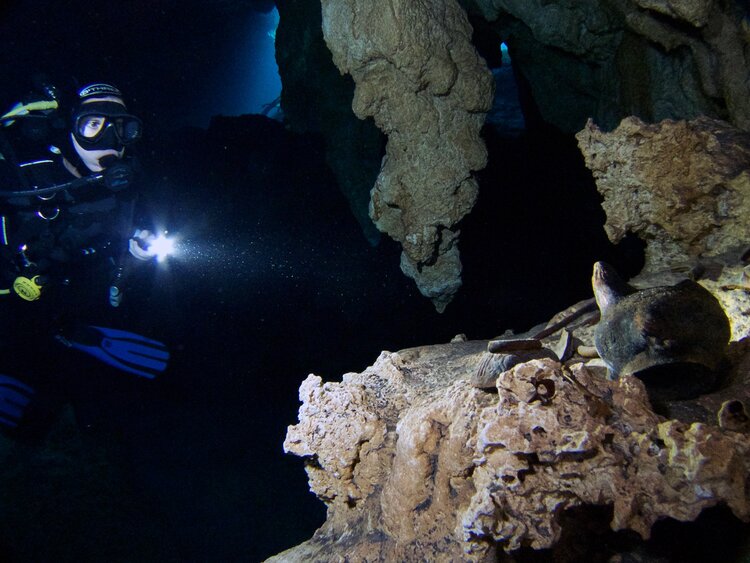 Aside from the geographical wonders of Mexican Cenotes, ancient Mayan pottery can still be found within these flooded caves.