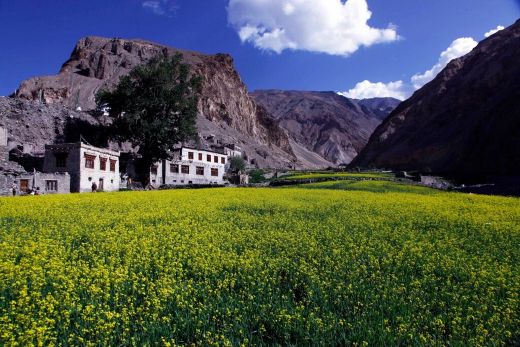 Markha village, Markha Valley, north Zanskar