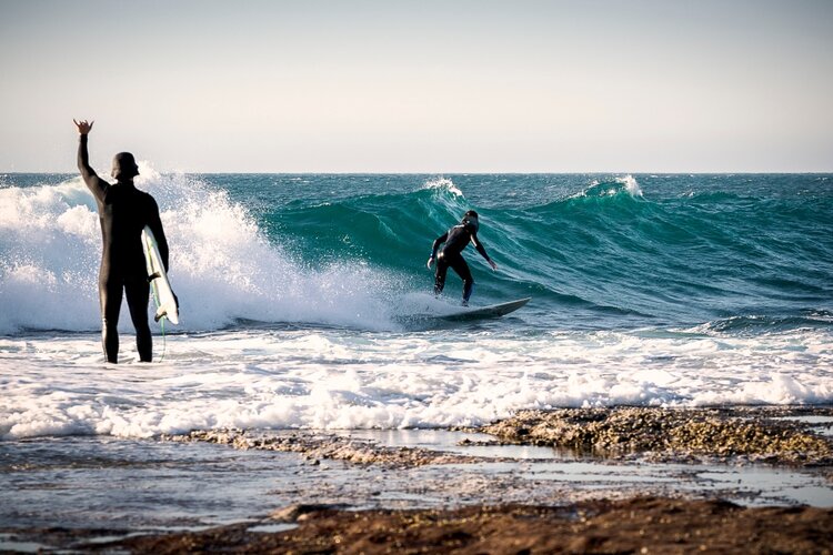 Two friends trade waves one breezy morning.