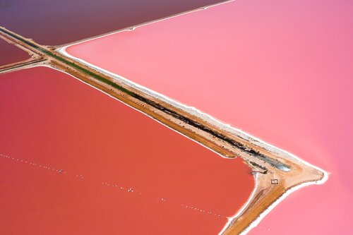 Hutt Lagoon's iconic colouring comes from the presence of the carotenoid-producing algae, dunaliella salina - which is a source of beta-carotene; a food-colouring agent and a great source of Vitamin A.