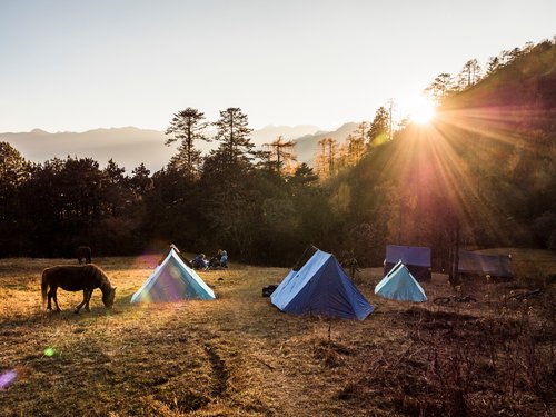 Exploring the Chelela trek trail by bike meant spending two nights under canvas in idyllic clearings on the trail. The camping gear was transported on packhorses; a service that’s growing with the rise in tourism, giving valuable employment to local herders.
