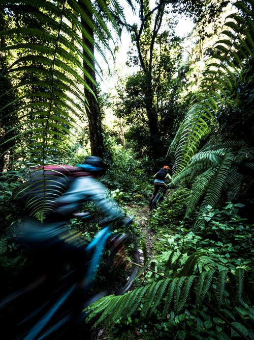 Another day, another descent earned by a ‘Bhutanese shuttle’ as local guide Pelden calls a hike-a-bike. Rural dirt roads can only access so far before the inevitable bike-carrying begins.