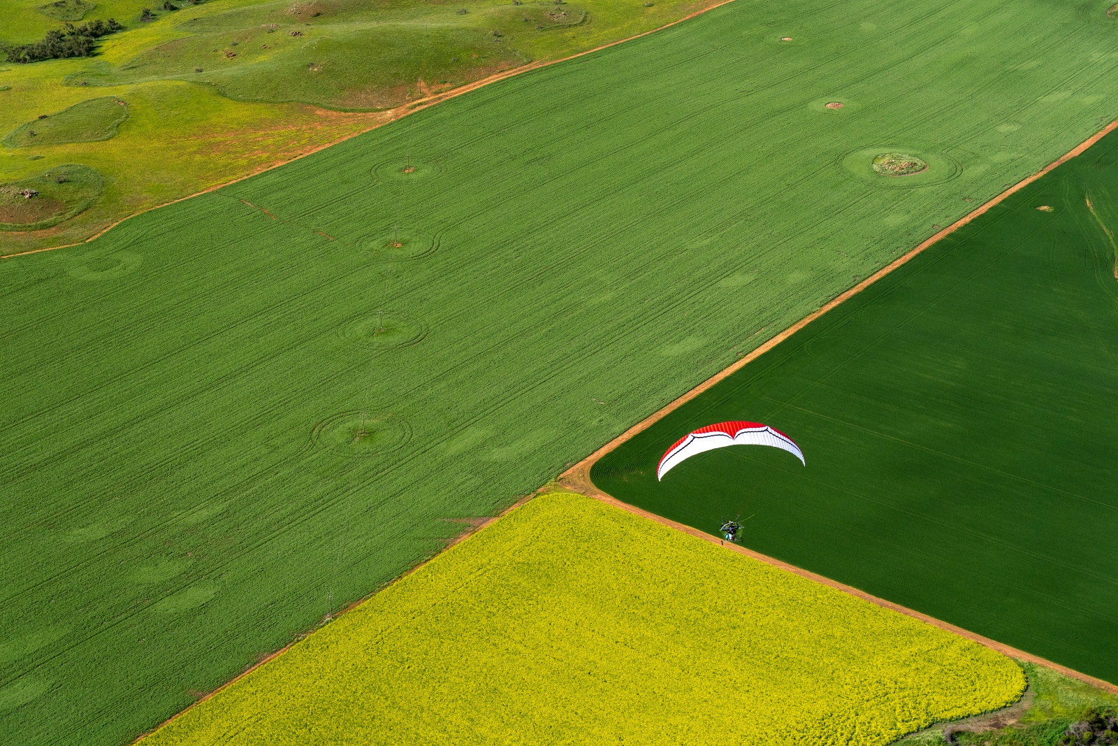 Patchwork of canola fields.