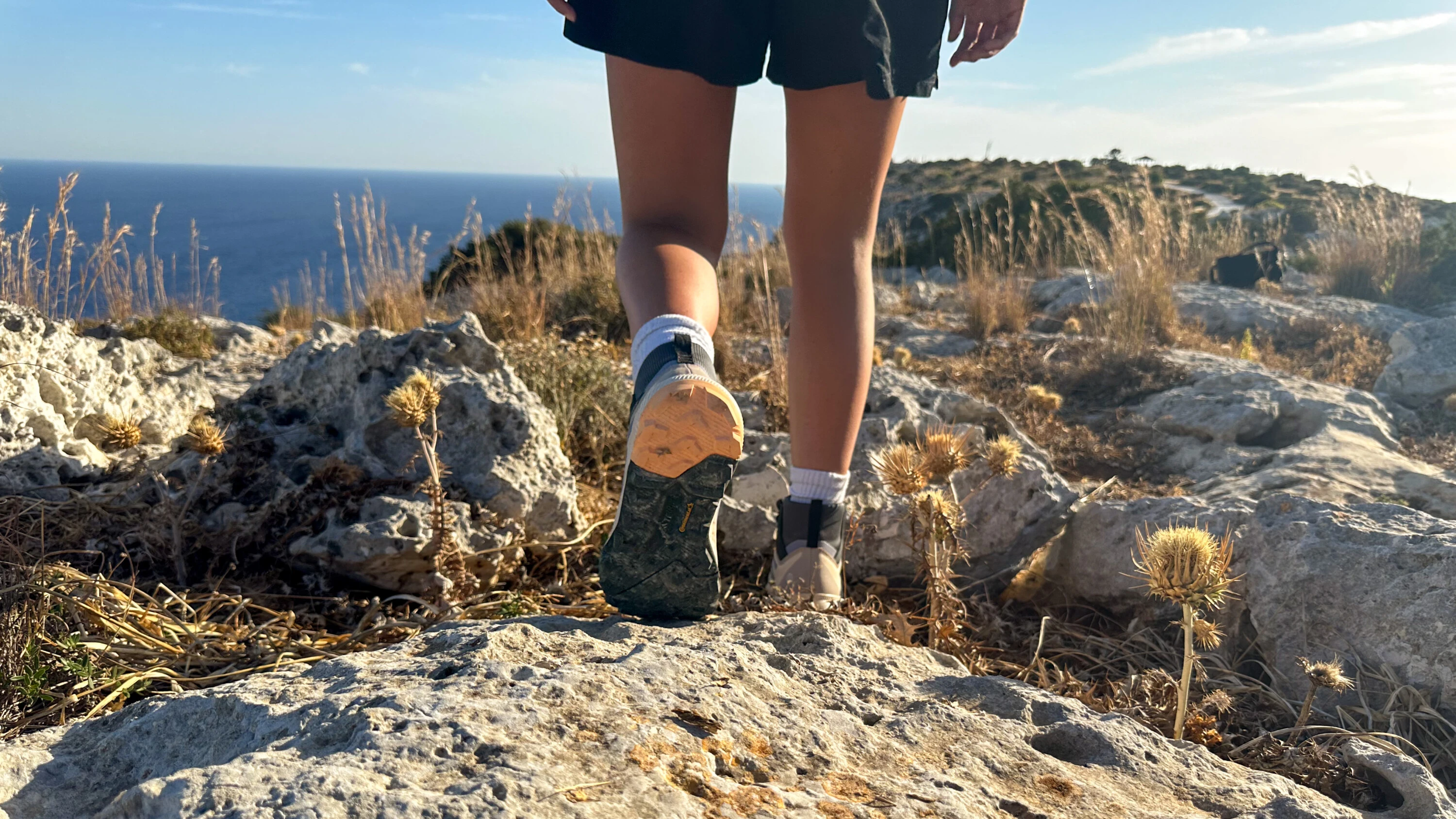 Adidas terrex bever deals