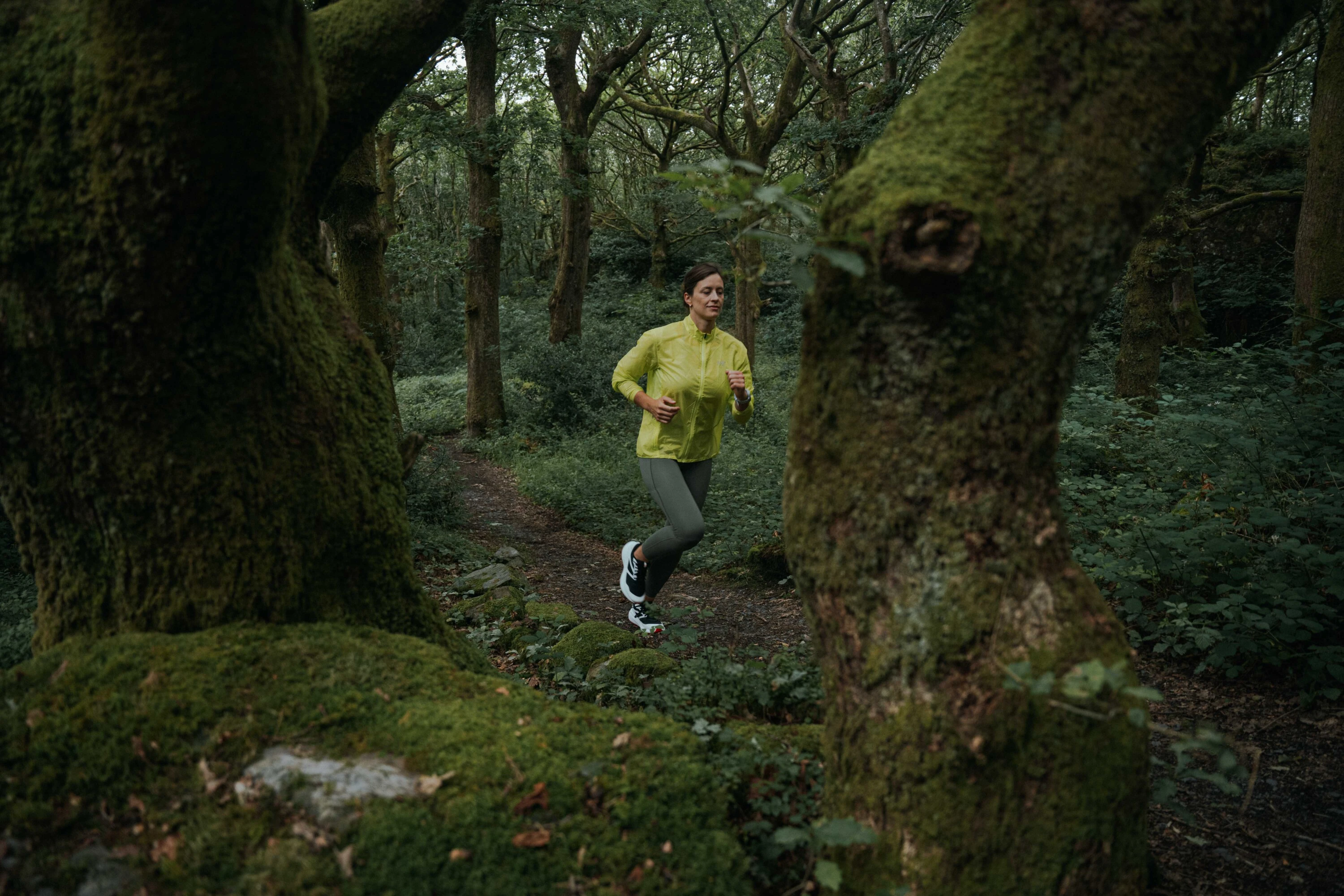 シューズ AX23 シューズ AX23 シューズ AX23 シューズ AX23 楽天市場】アディダス ZX（靴