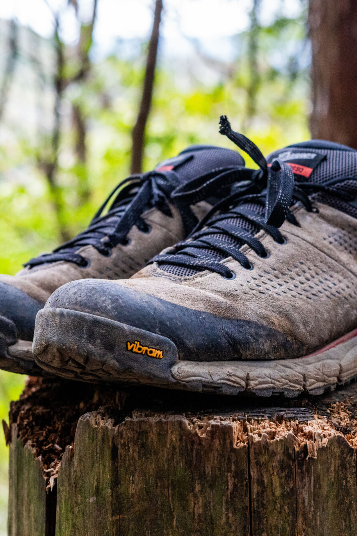 Review: Danner Trail 2650 GTX Shoe - BASE Magazine