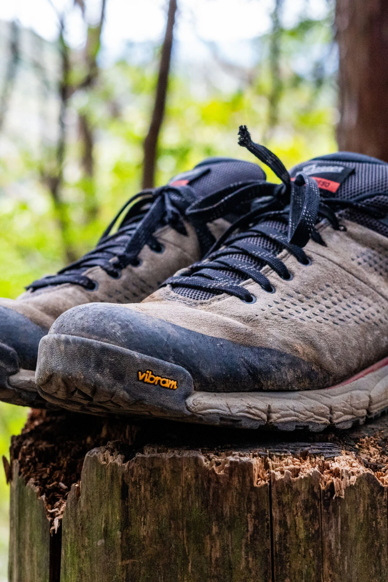 Review: Danner Trail 2650 GTX Shoe - BASE Magazine