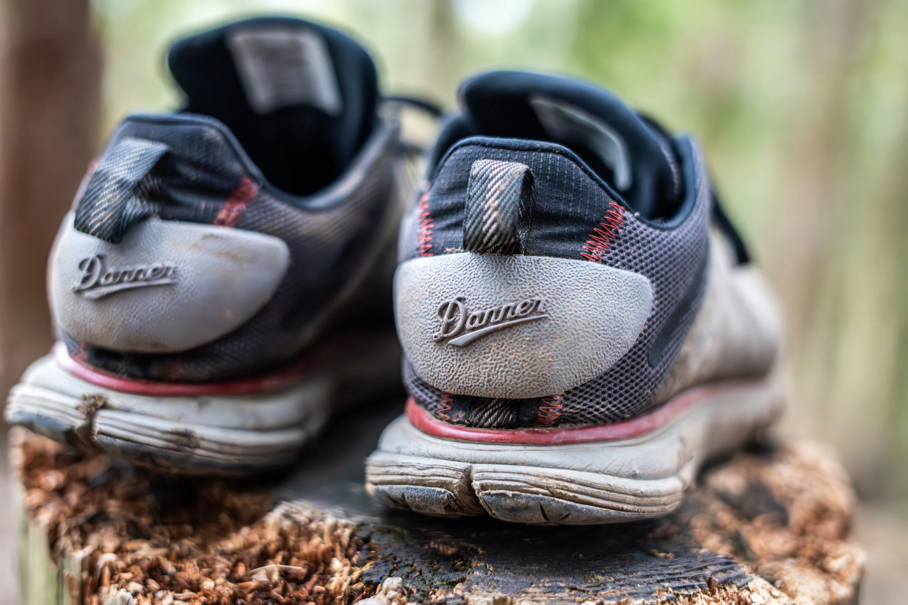 Review: Danner Trail 2650 GTX Shoe - BASE Magazine