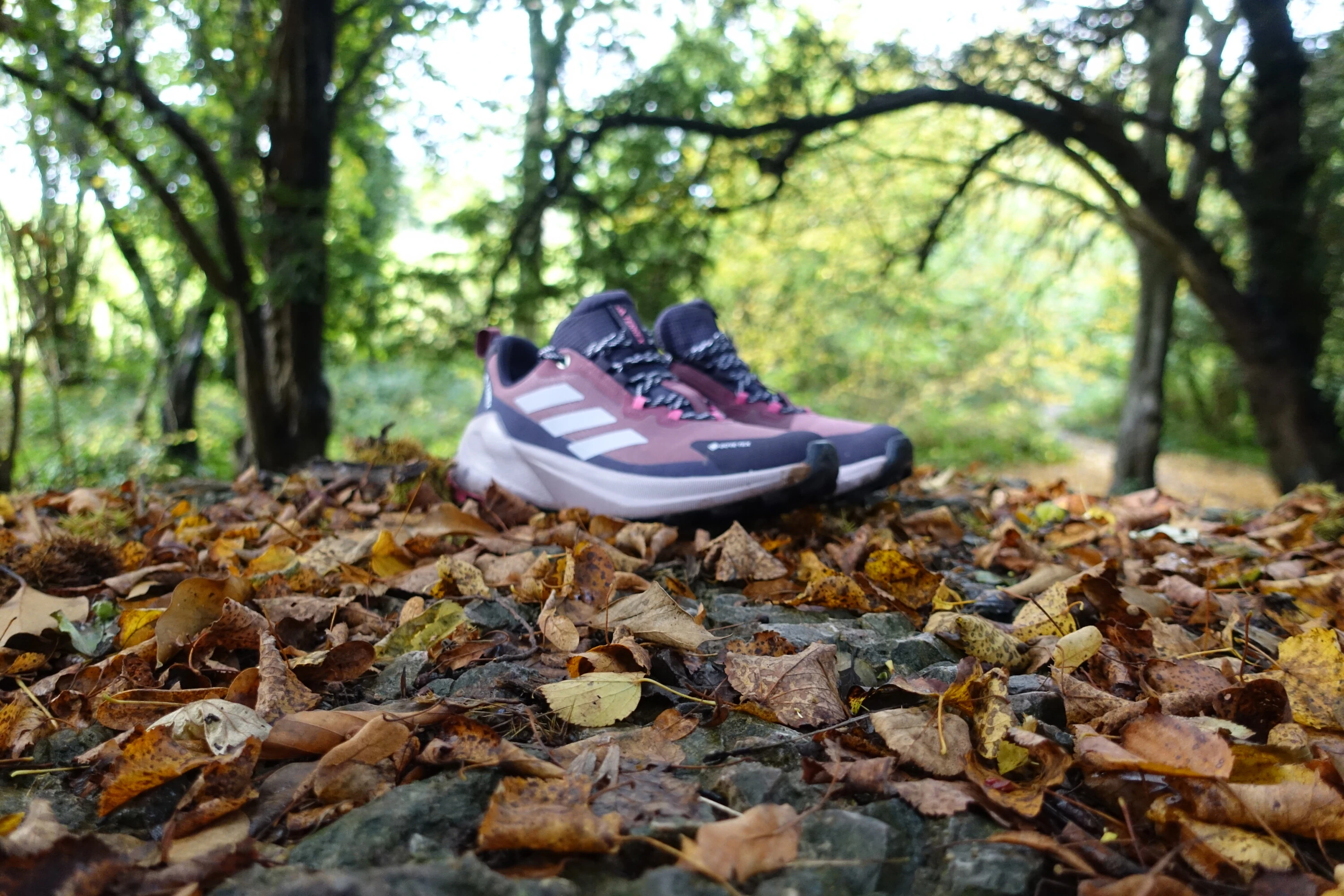 Review: adidas TERREX Trailmaker 2.0 Gore-Tex Hiking Shoe - BASE Magazine