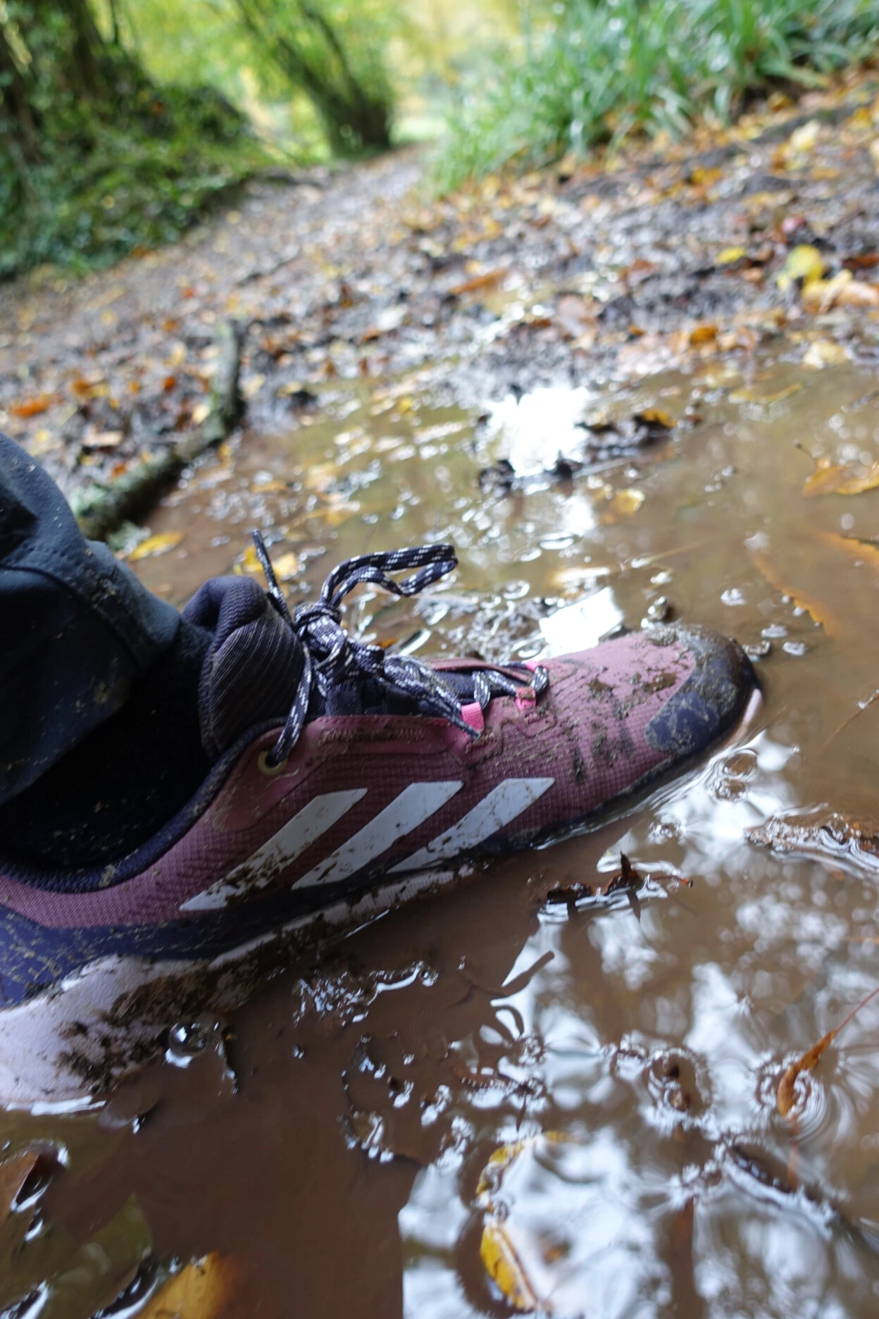 Review: adidas TERREX Trailmaker 2.0 Gore-Tex Hiking Shoe